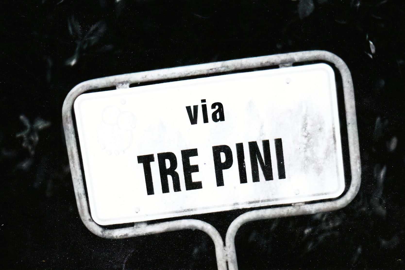 TrePini.Net – Your Entry to Books and Music you never thought of